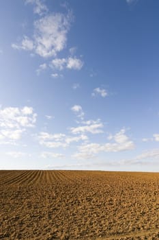 brown soil field ready to grow vegetables