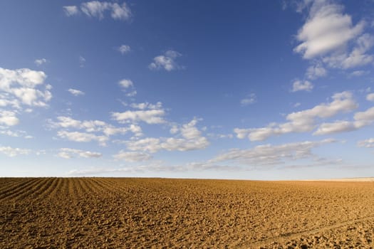 brown soil field ready to grow vegetables