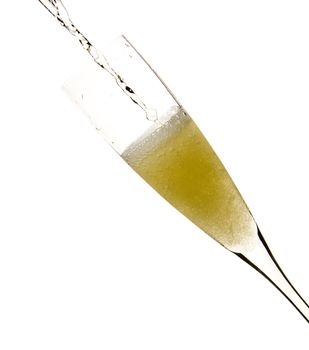 close up of an isolated glass cup of champagne