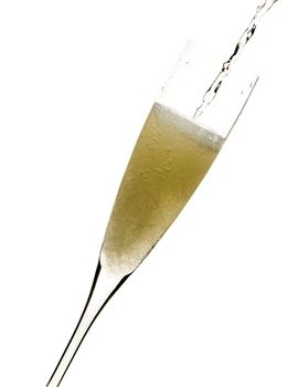 close up of an isolated glass cup of champagne