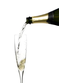 filling a glass cup with champagne wine isolated on withe background