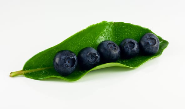 five big blueberries on a green leaf
