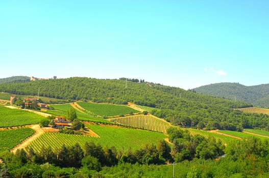 Hill Of Toscana With Vineyard In The Chianti Region