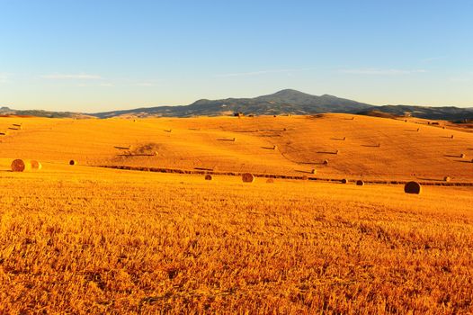 Toscana Landscape With Many Hay Bales In The Morning