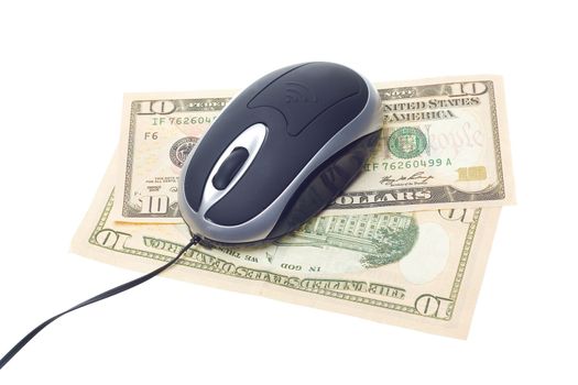 small computer mouse with money concept isolated on withe background