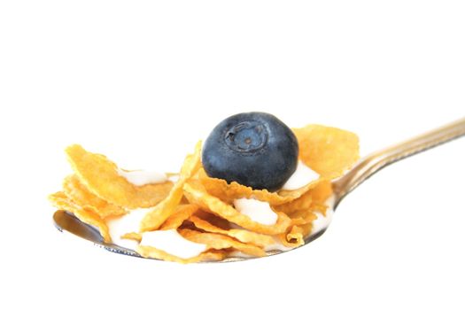 Spoonfull of cereal and milk with a blueberry sitting on top. Isolated on a white background.
