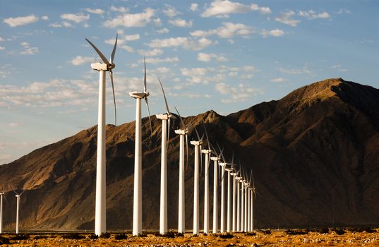 Wind Generators in the California Desert