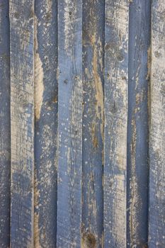 old barn wall - vertical wood planls with reamins of gray paint