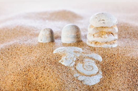 Sea pebble on a beach in sand in the summer morning