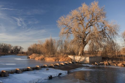 dam on the Cache la Poudre River diverting water into Evans Ditch for farmland irrigation in Colorado, winter scenery