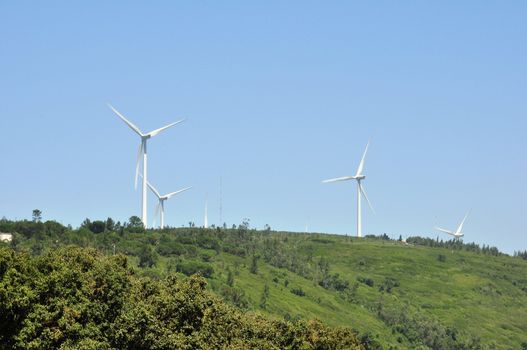 Pure energy, windpower 
 windturbines 