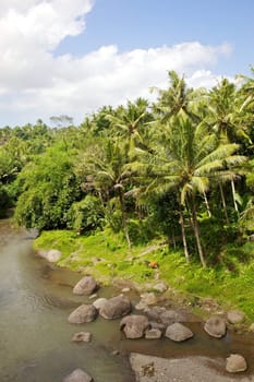 A river in Central Bali, Indonesia.