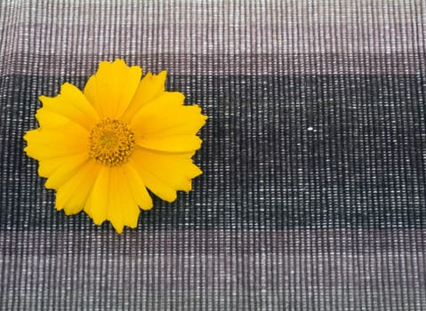 Brown fabric with yellow flower on left side