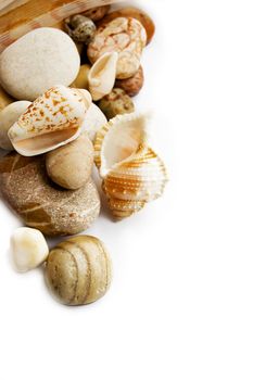 Assorted sea shells and stones over white with copy space