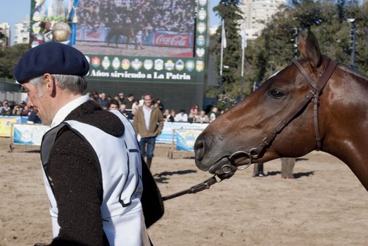 Argentina, Buenos Aires, July 27, 2010: Match race Argentine polo-A rider moved his horse to be considered by the jury in the 124th exhibition of Livestock and Rural Argentina on the track of the rural society of Buenos Aires Argentina.