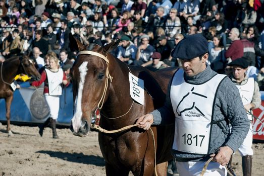 Argentina, Buenos Aires, July 27, 2010: Match race Argentine polo - The riders move their horses to be considered by the jury in the 124th exhibition of Livestock and Rural Argentina on the track of the rural society of Buenos Aires Argentina.