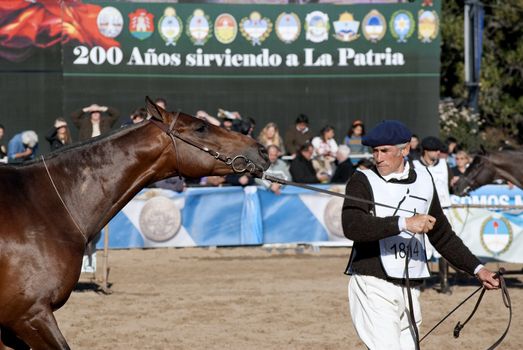 Argentina, Buenos Aires, July 27, 2010: Match race Argentine polo - The riders move their horses to be considered by the jury in the 124th exhibition of Livestock and Rural Argentina on the track of the rural society of Buenos Aires Argentina.