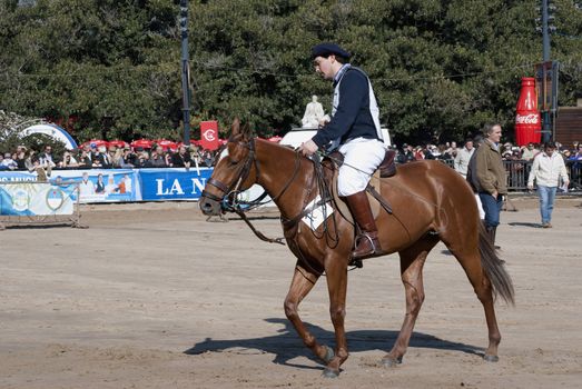 Argentina, Buenos Aires, July 27, 2010: One of the riders showed their skills in horse race classification in the Argentine Polo 124th exhibition of livestock rural Argentina in the track of the Sociedad Rural Argentina.