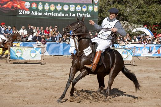 Argentina, Buenos Aires, July 27, 2010: One of the riders showed their skills in horse race classification in the Argentine Polo 124th exhibition of livestock rural Argentina in the track of the Sociedad Rural Argentina.