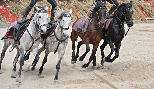 Show of equestrian acrobatics with four horses