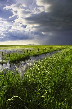 Parts of Alberta have been hit with record rainfall. The crops are flooded and ditches are overflowing onto country roads. 