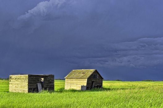 Abandoned homestead on a crop in Alberta, Canada on dark stormy skies in the summer 2010.