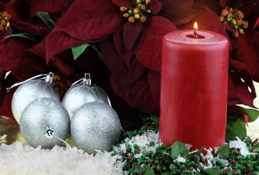Burning Christmas candle surrounded by rich burgundy colored Poinsettias, silver ornaments and snow.