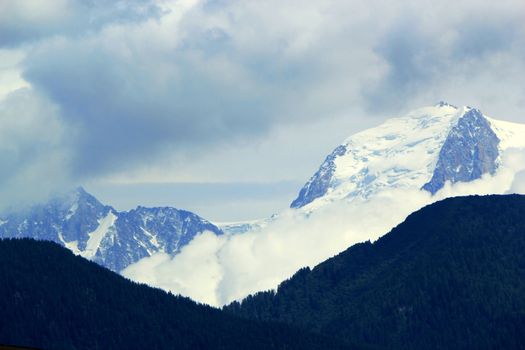 Snowy mountain high in the Alps behind fir trees forest by cloudy weather