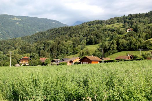 Landscape with brown houses made of wood and surrounded by hills of fir trees forest and green vegetation, Haute-Savoie, France