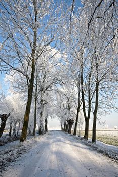 Snowy country road in wintertime in the Netherlands