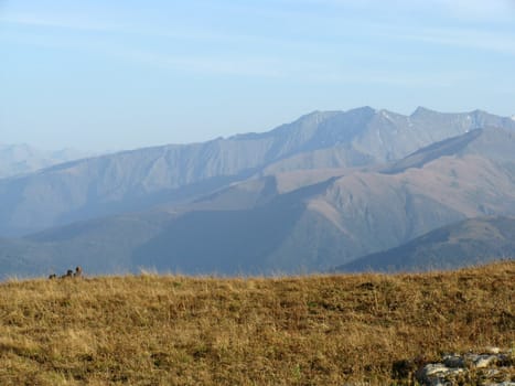 Mountains, caucasus, rocks, a relief, a landscape, the nature, a panorama, a landscape, a ridge, top, breed, the sky, reserve, a background, a kind, a route, the Alpine meadows, a glacier, snow, a slope, peak, beauty, bright, a file, a grass, tourism, travel, autumn, people, pairt