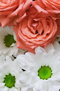 Flowers close up - chrysanthemums and pink roses