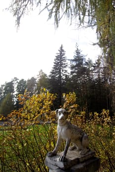 Marble dog in autumn park
