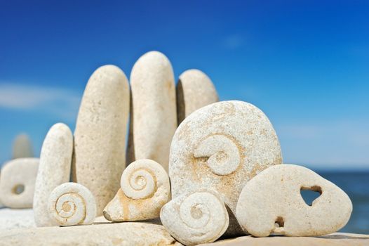 Sea pebble with fossilized snails on a beach in the summer