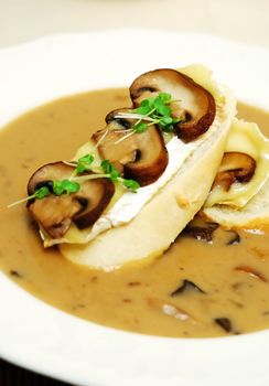 Mushroom soup