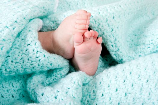 Two cute tiny baby feet wrapped in a blue-green aqua knitted blanket.