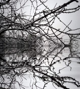 cold winter landscape with snow in viseu