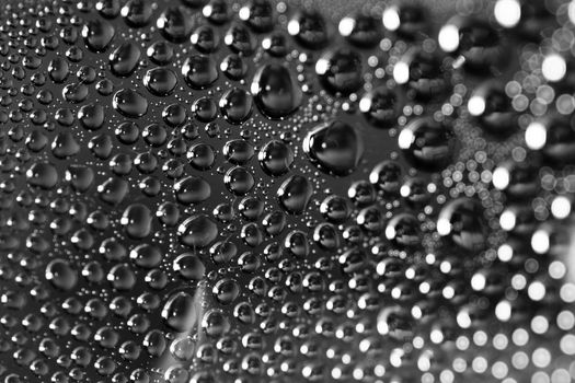 clouseup of rain drops black and white