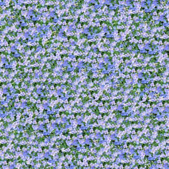 Seamless pattern made of aubrieta flowers. It's composable like tiles without visible connecting line between parts