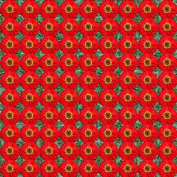 Seamless pattern made of zinnia flowers. It's composable like tiles without visible connecting line between parts