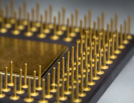 Gilt legs of the processor photographed with increase