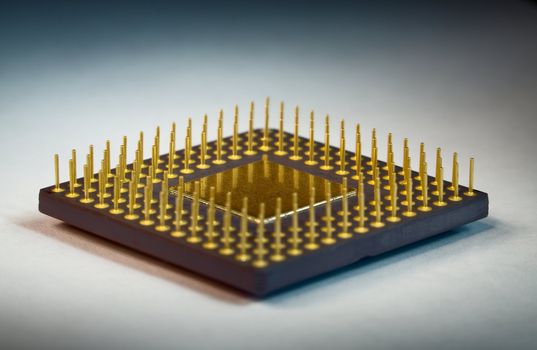Gilt legs of the processor photographed with increase