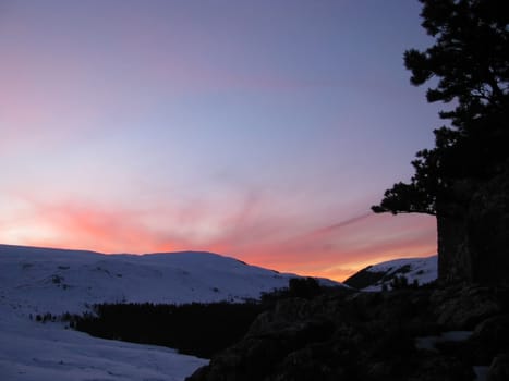 Decline, pink, beautiful, bright, winter, a plateau, mountains, a kind, a panorama, a landscape, the nature, a landscape, snow, wood, the Alpine meadows, a relief, caucasus, beauty, a background, reserve, a slope, flora, a ridge, clouds, the sky, a pine