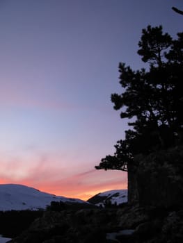 Decline, pink, beautiful, bright, winter, a plateau, mountains, a kind, a panorama, a landscape, the nature, a landscape, snow, wood, the Alpine meadows, a relief, caucasus, beauty, a background, reserve, a slope, flora, a ridge, clouds, the sky, a pine