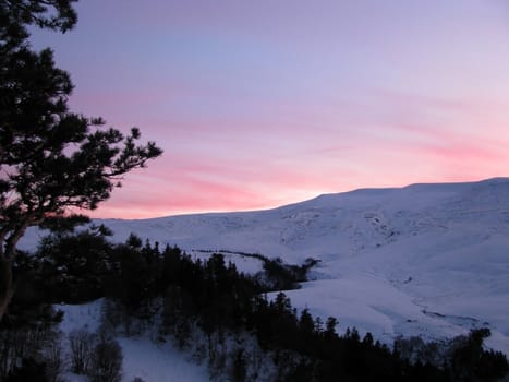 Decline, pink, beautiful, bright, winter, a plateau, mountains, a kind, a panorama, a landscape, the nature, a landscape, snow, wood, the Alpine meadows, a relief, caucasus, beauty, a background, reserve, a slope, flora, a ridge, clouds, the sky, a pine