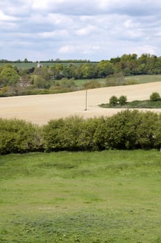 A view of the Kent countryside in spring