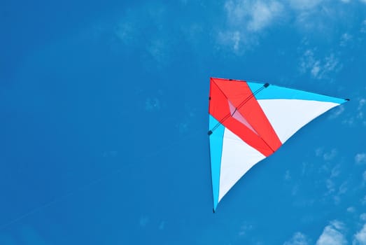 Kite flying under the sky