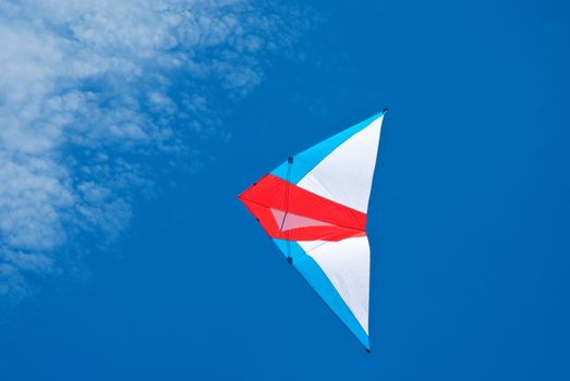 Kite flying under the sky