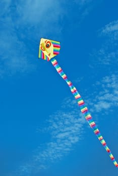 Kite flying under the sky