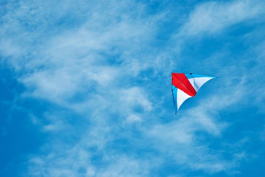 Kite flying under the sky